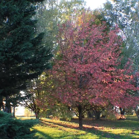 Сasa de vacaciones La Luciole