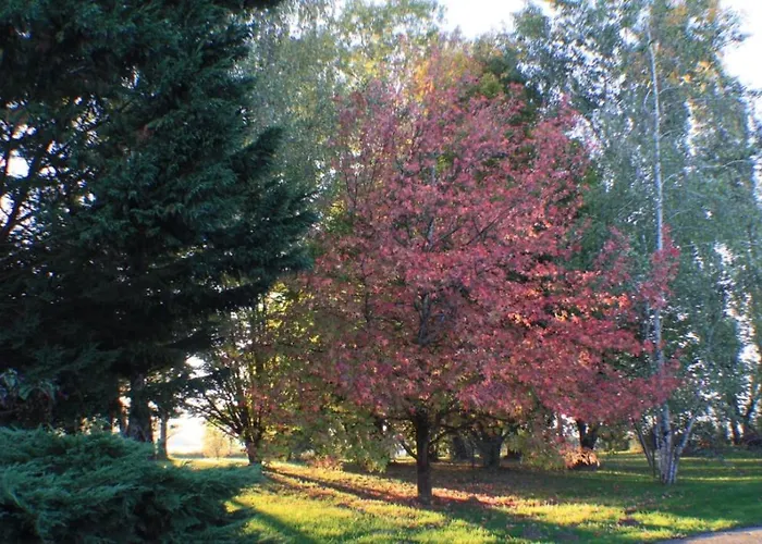 Сasa de vacaciones La Luciole