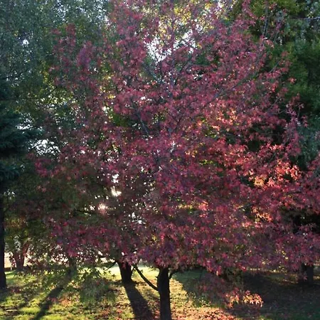 La Luciole Casa de Férias *