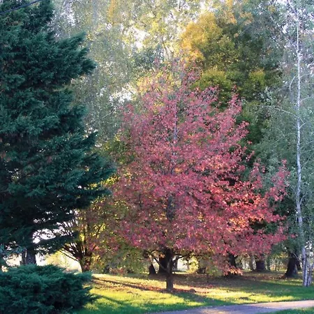 La Luciole Casa de Férias